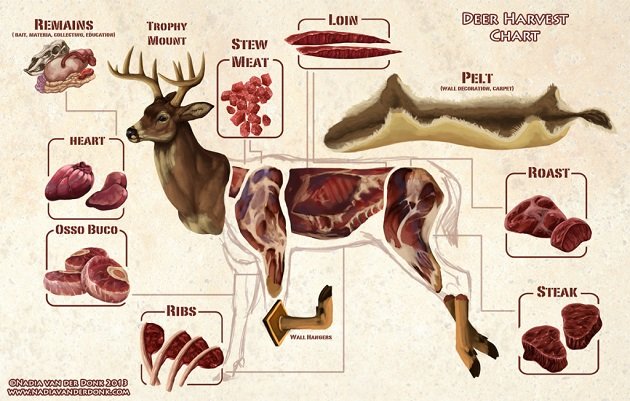 deermeat_cuts